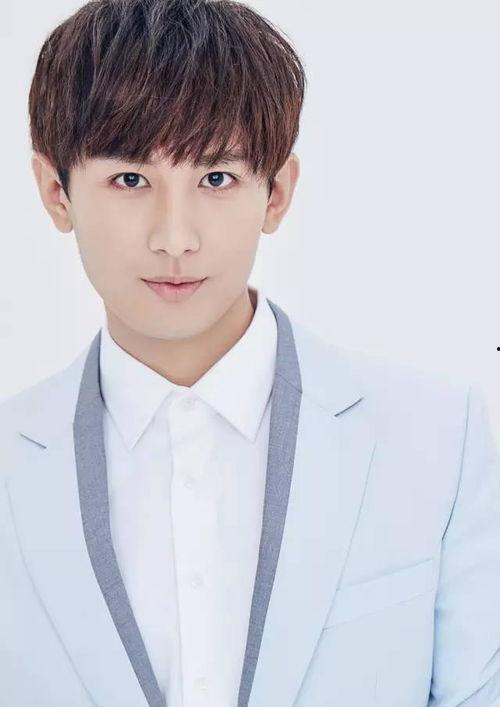 成毅老家爆料事件真相视频,真相大白背后的曲折历程